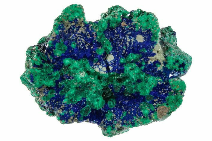 Vivid Blue, Cut/Polished Azurite & Malachite Nodule - Siberia #263216